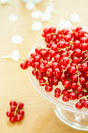 currants