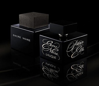 encre noire perfume