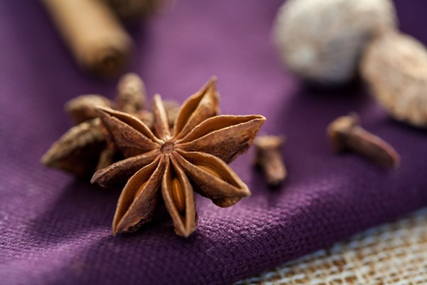 spice-star-anise