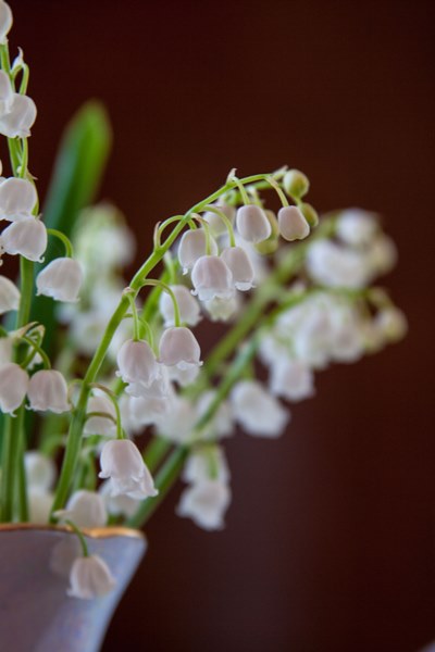 lily of the valley potpourri