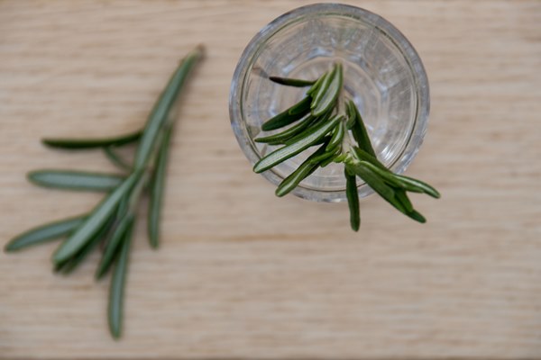 Perfume that best sale smells like rosemary