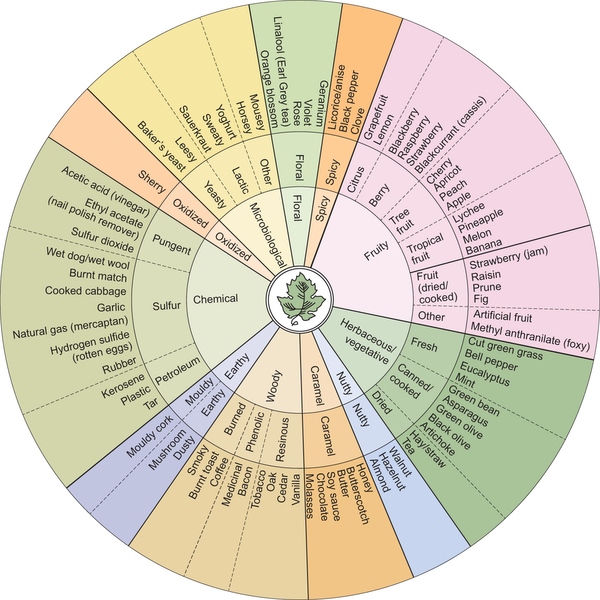 Image result for vocab wheel the senses