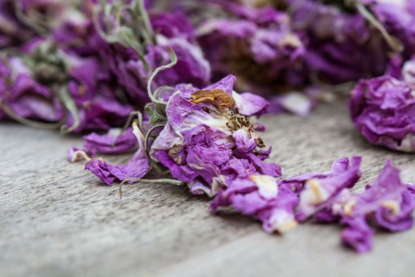 Scent Diary: Dried Roses for Inspiration