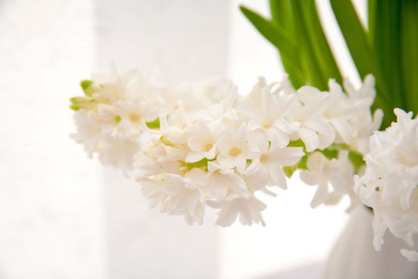 Home Scents : Spring Edition