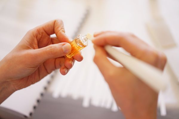 How to Become a Perfumer : Online Seminar