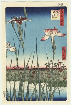 Iris ukiyoe