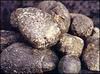 Ambergris_27