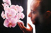 Lutens_photo_with_orchids
